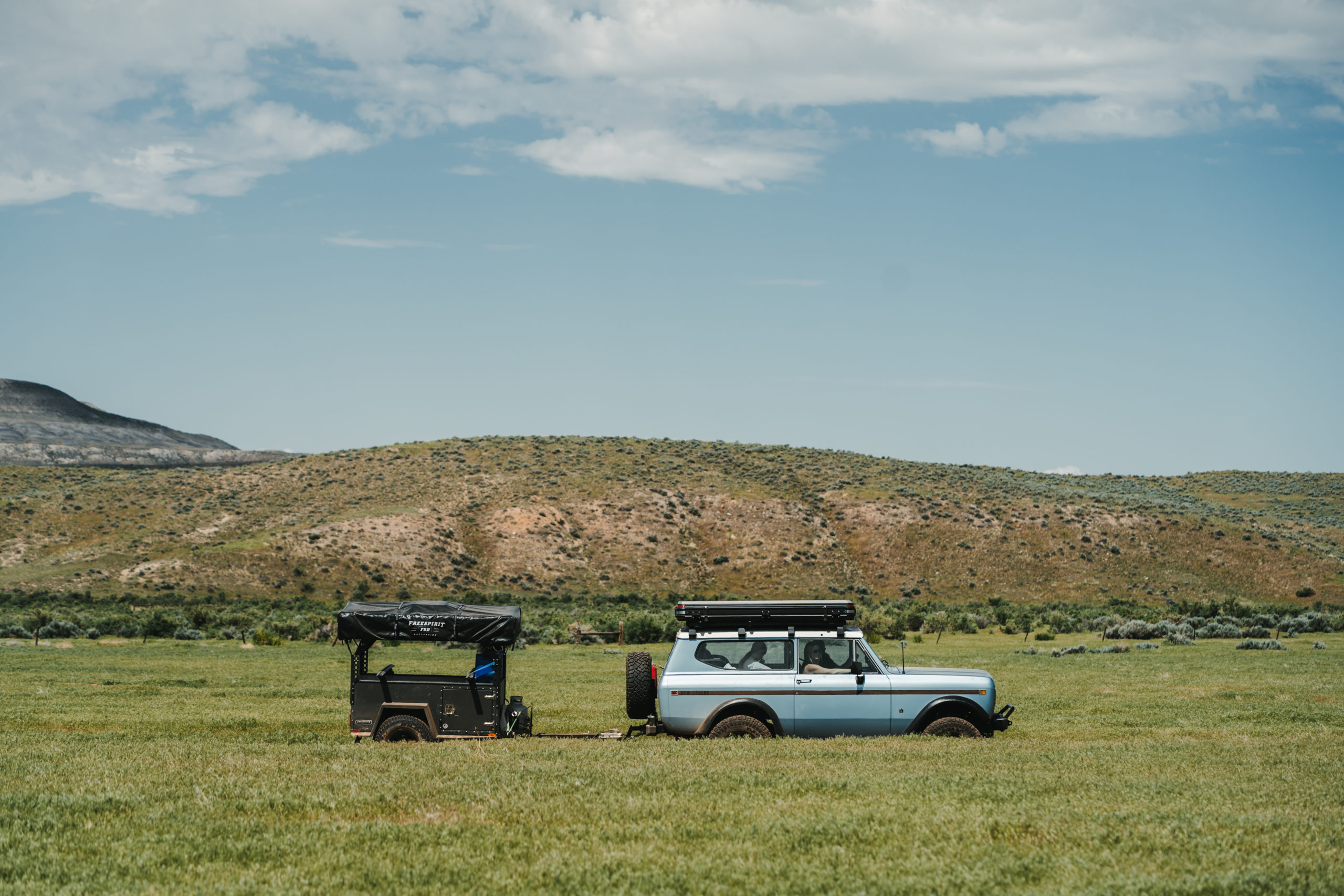 Scout II in grassland