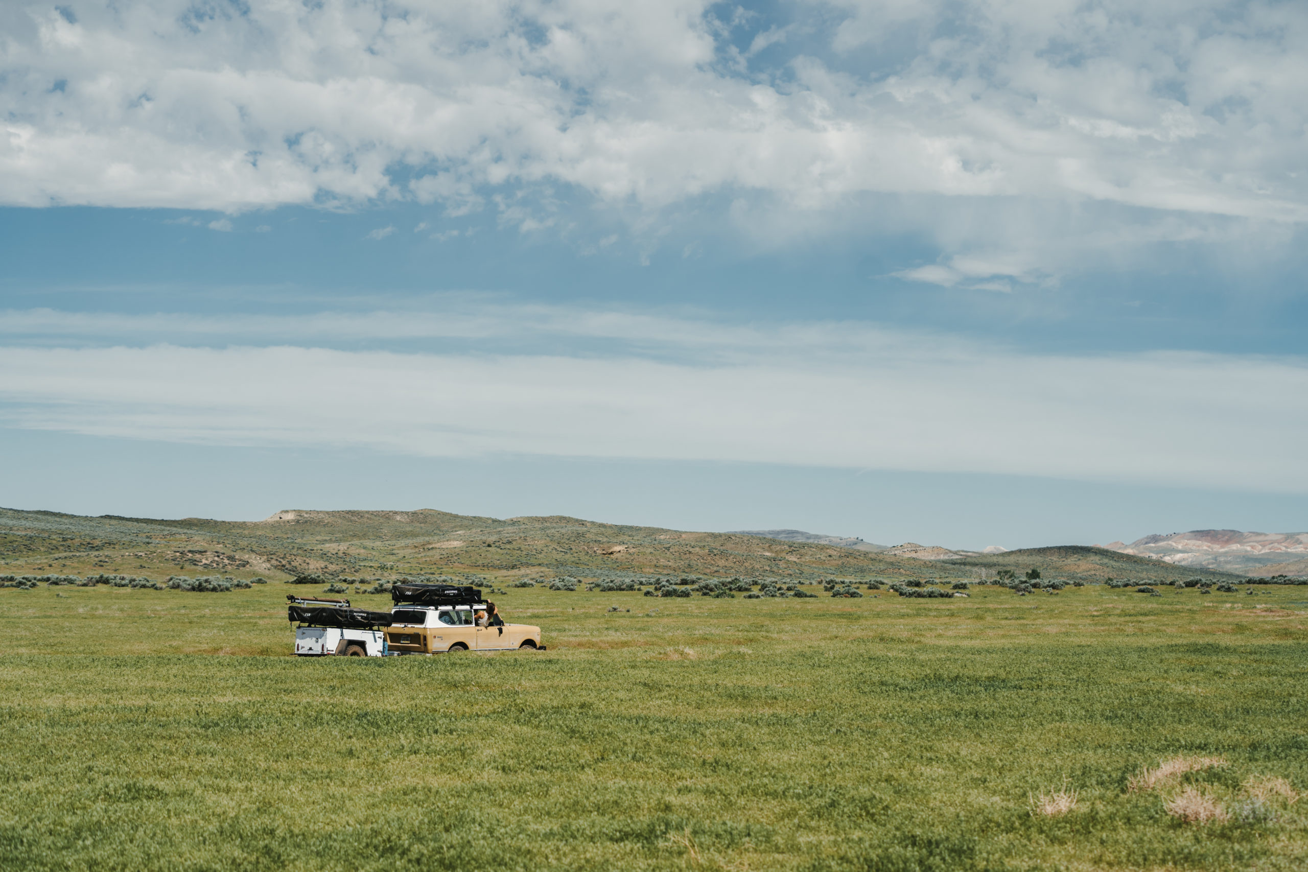 Scout II in grassland