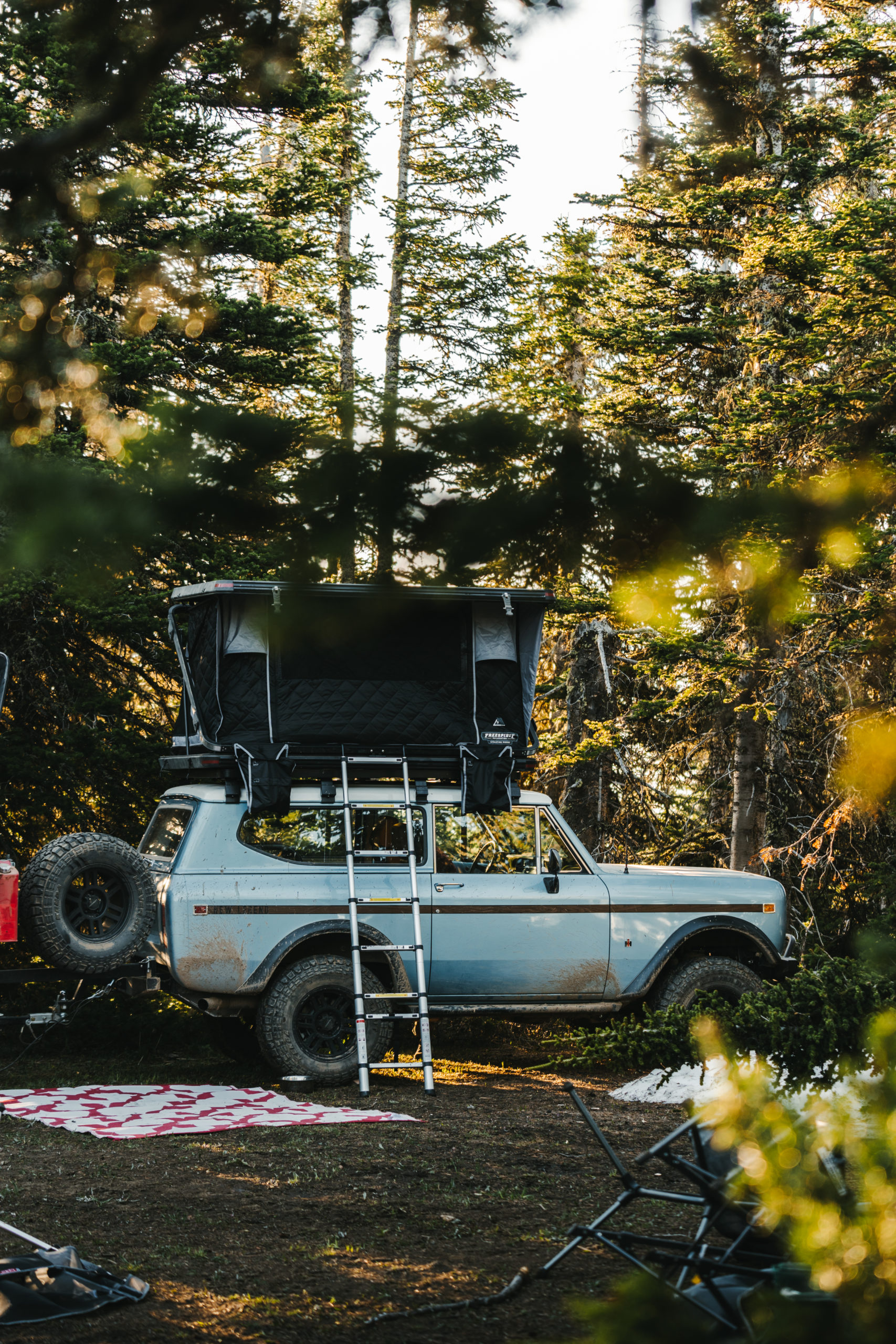 Scout II with rooftop tent in woods
