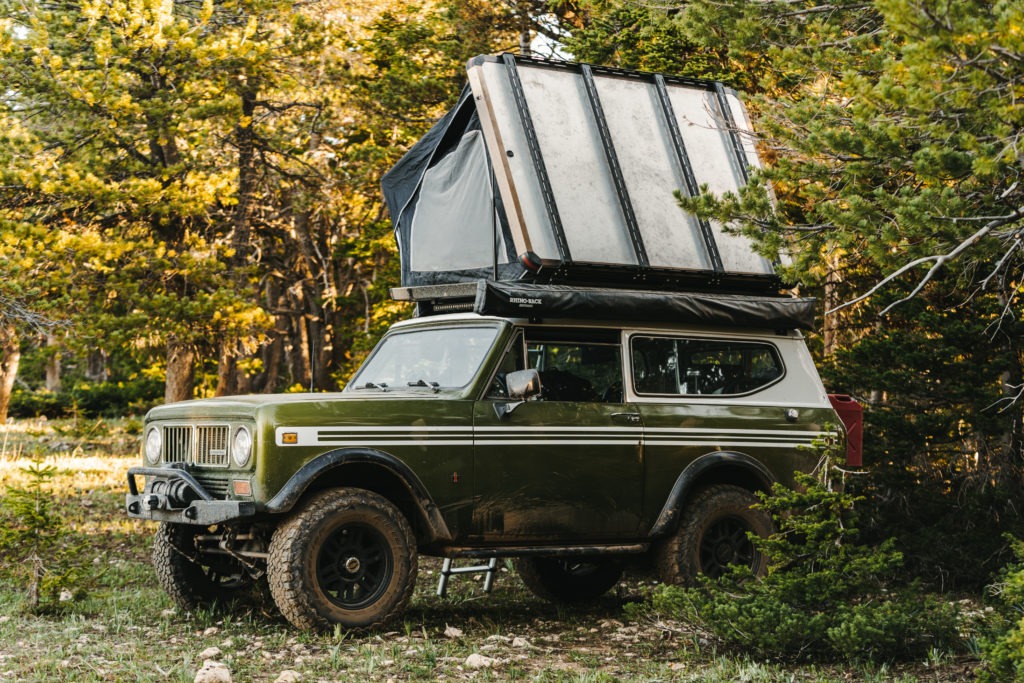 Scout II in woods